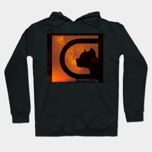 Bullrot Galaxy Orange Noire et Nom Hoodie